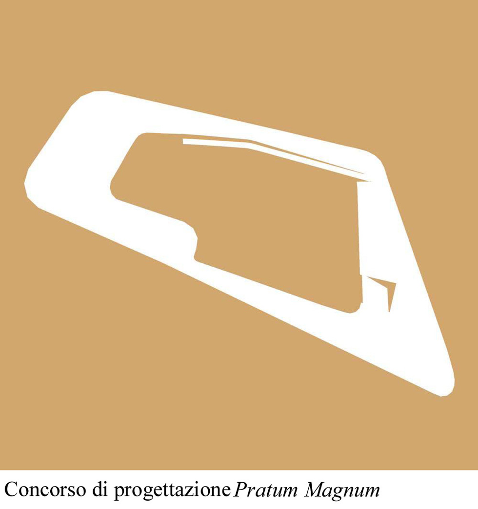 Immagine 7